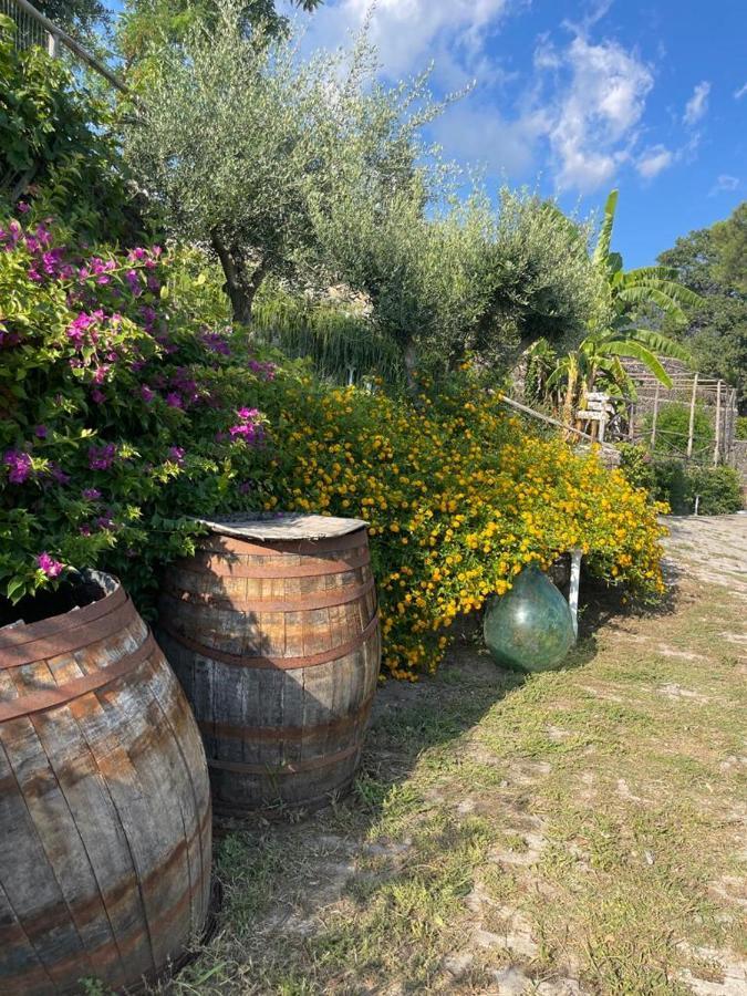 B&B Sunset Ercolano Dış mekan fotoğraf