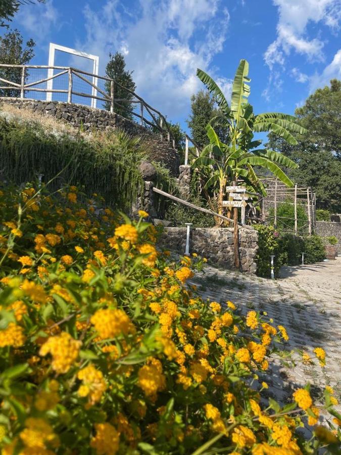 B&B Sunset Ercolano Dış mekan fotoğraf